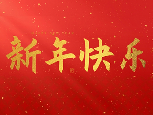 浙江百茂板業(yè)有限公司祝大家2025新年快樂！